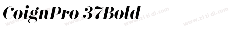 CoignPro 37Bold字体转换